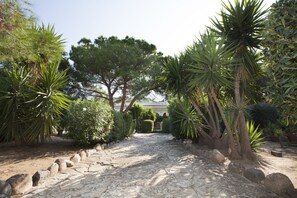 Un sendero de piedra que atraviesa un jardín con diversas plantas y árboles.