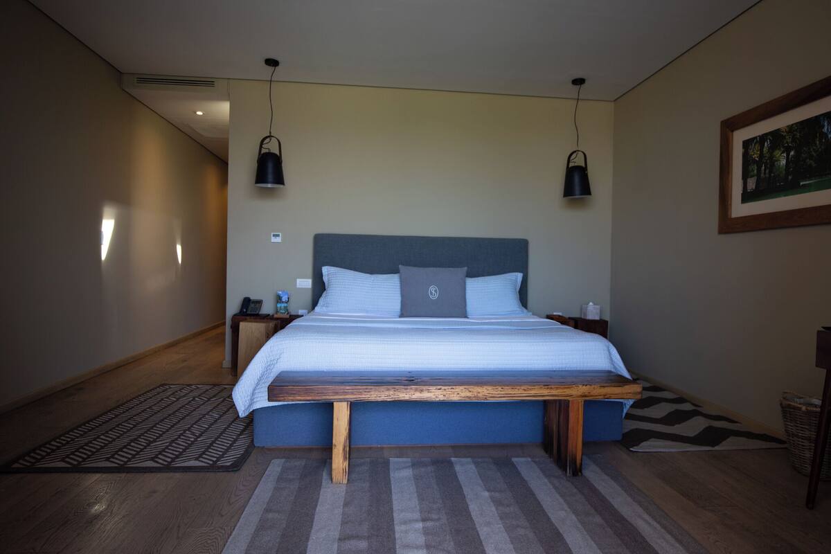 suite | minibar, in-room safe, individually decorated, individually furnished