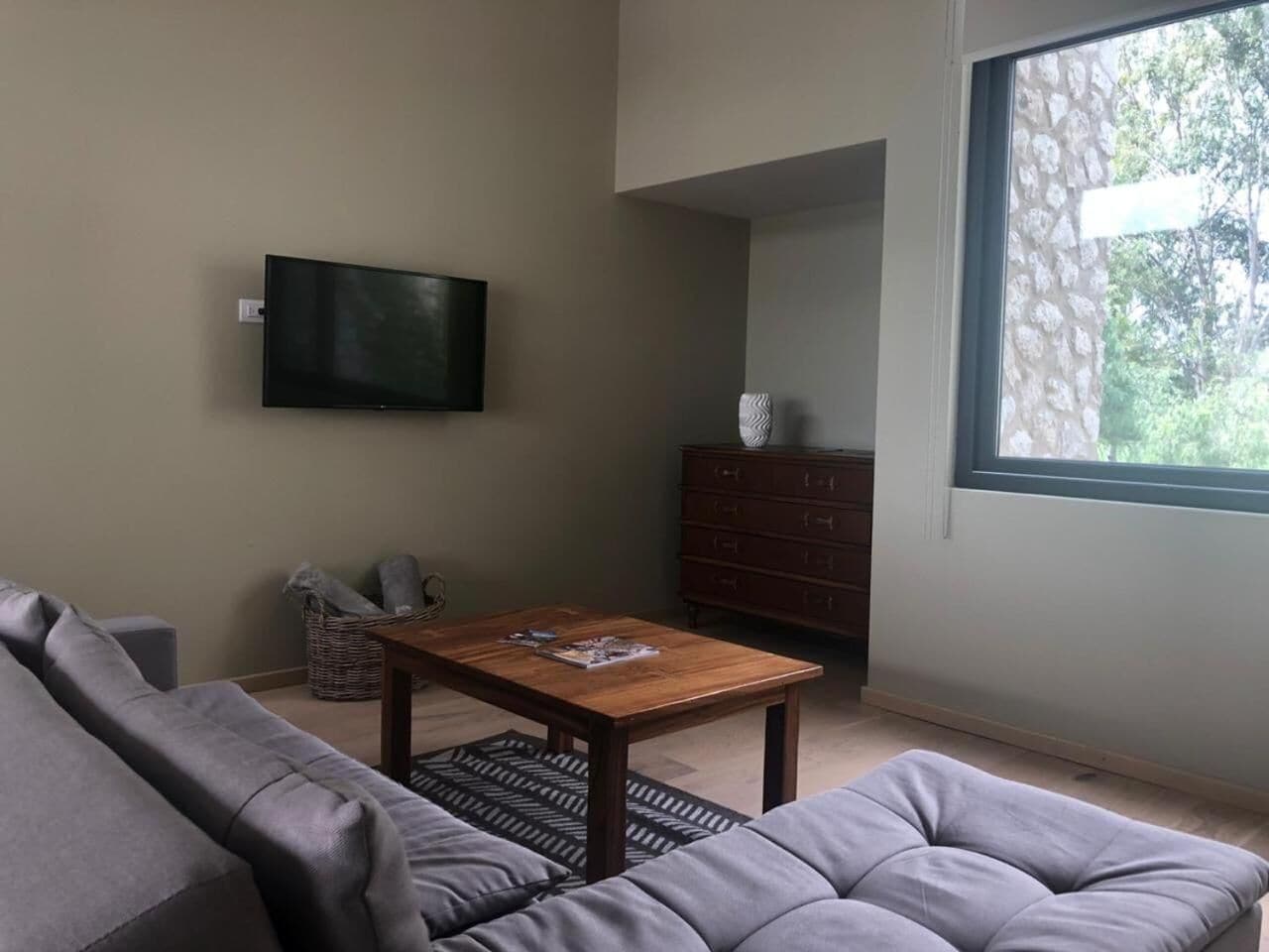 plasma tv, fireplace, netflix, streaming services