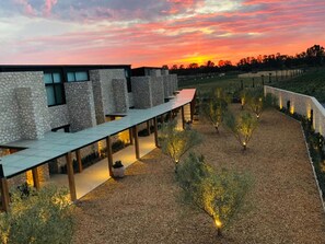 A modern building with a stone facade and a covered outdoor area with trees and a gravel path. - Viñedos San Francisco (San Miguel de Allende)