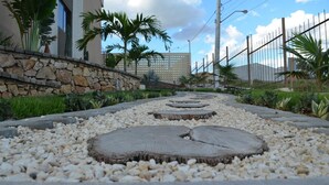 Un sendero con escalones de madera circulares y piedras, rodeado de follaje y un muro de piedra.