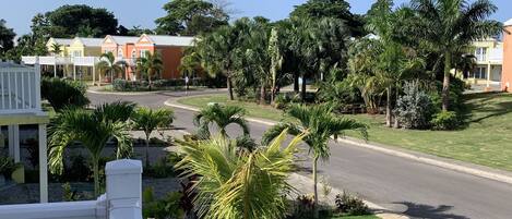 A residential area with houses, a road, and palm trees.