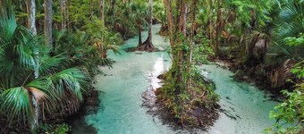 Riverfront Apopka Cabin: Paddle & Relax