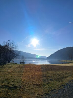 Miscellaneous - Charming Blueberry Cottage (Celles-sur-Plaine)