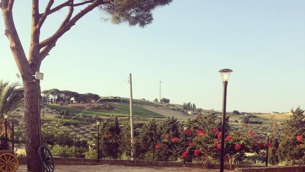 Two white cups of coffee on a stone table with a scenic view of hills and flowers in the background. - Il Ficodindia (Santa Ninfa)