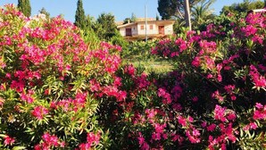 A house surrounded by lush pink flowers. - Il Ficodindia (Santa Ninfa)