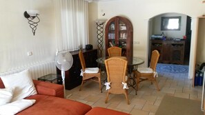 智能電視、壁爐、DVD 播放機、書籍