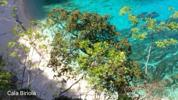 A coastal landscape with clear turquoise water, rocky cliffs, and dense greenery.