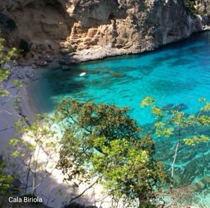 A coastal landscape with clear turquoise water, rocky cliffs, and dense greenery.