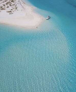 ビーチ