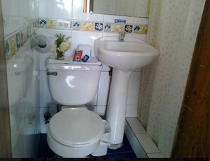 Shower, free toiletries, towels