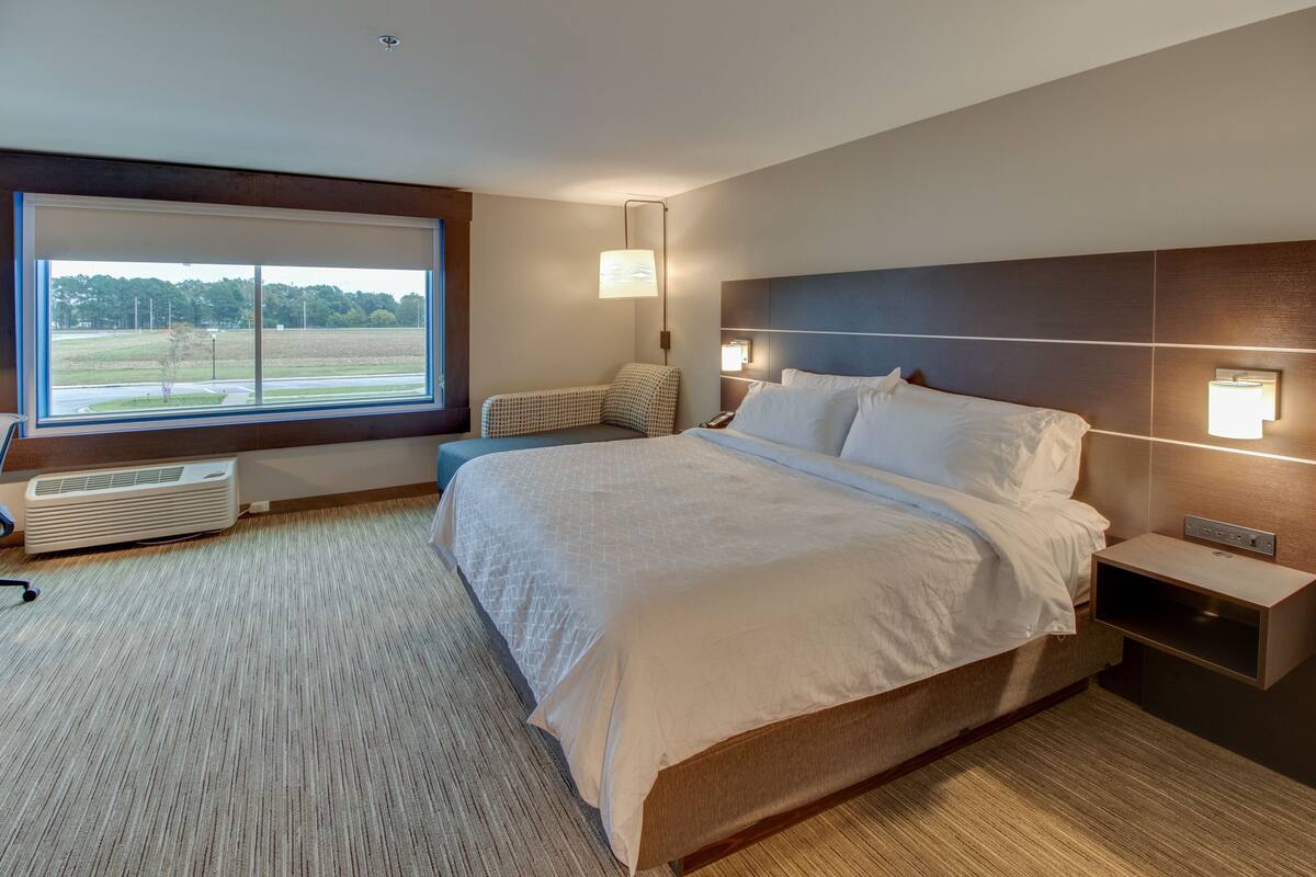A modern hotel room with a large bed, a view of a park, and a built-in heater.