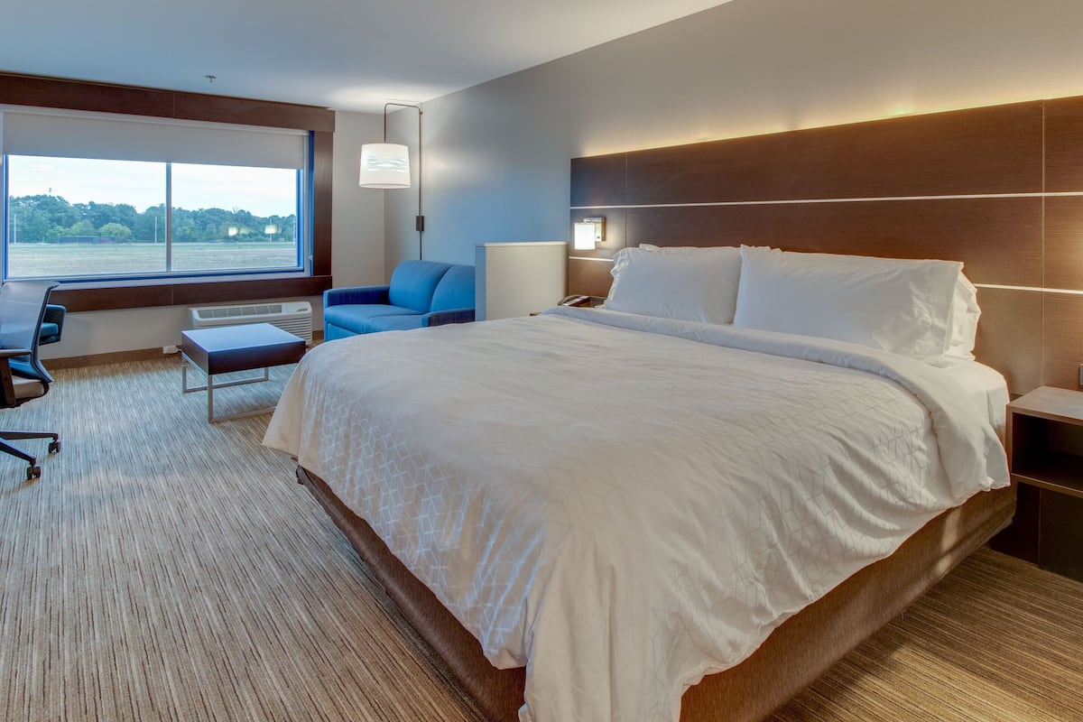 suite, 1 king bed | in-room safe, individually decorated, individually furnished, desk