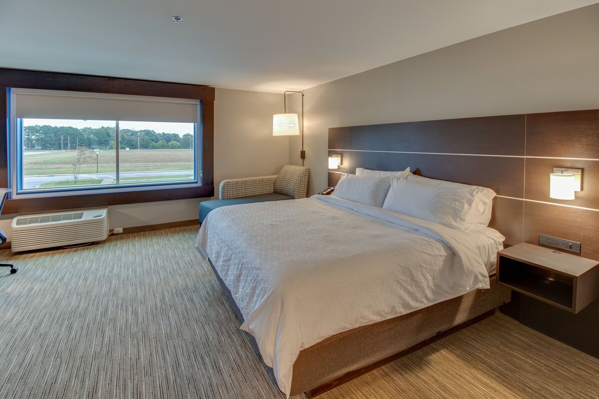 A modern hotel room with a large bed, a view of a park, and a built-in heater.