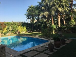 Une piscine entourée d’une végétation luxuriante et de palmiers.