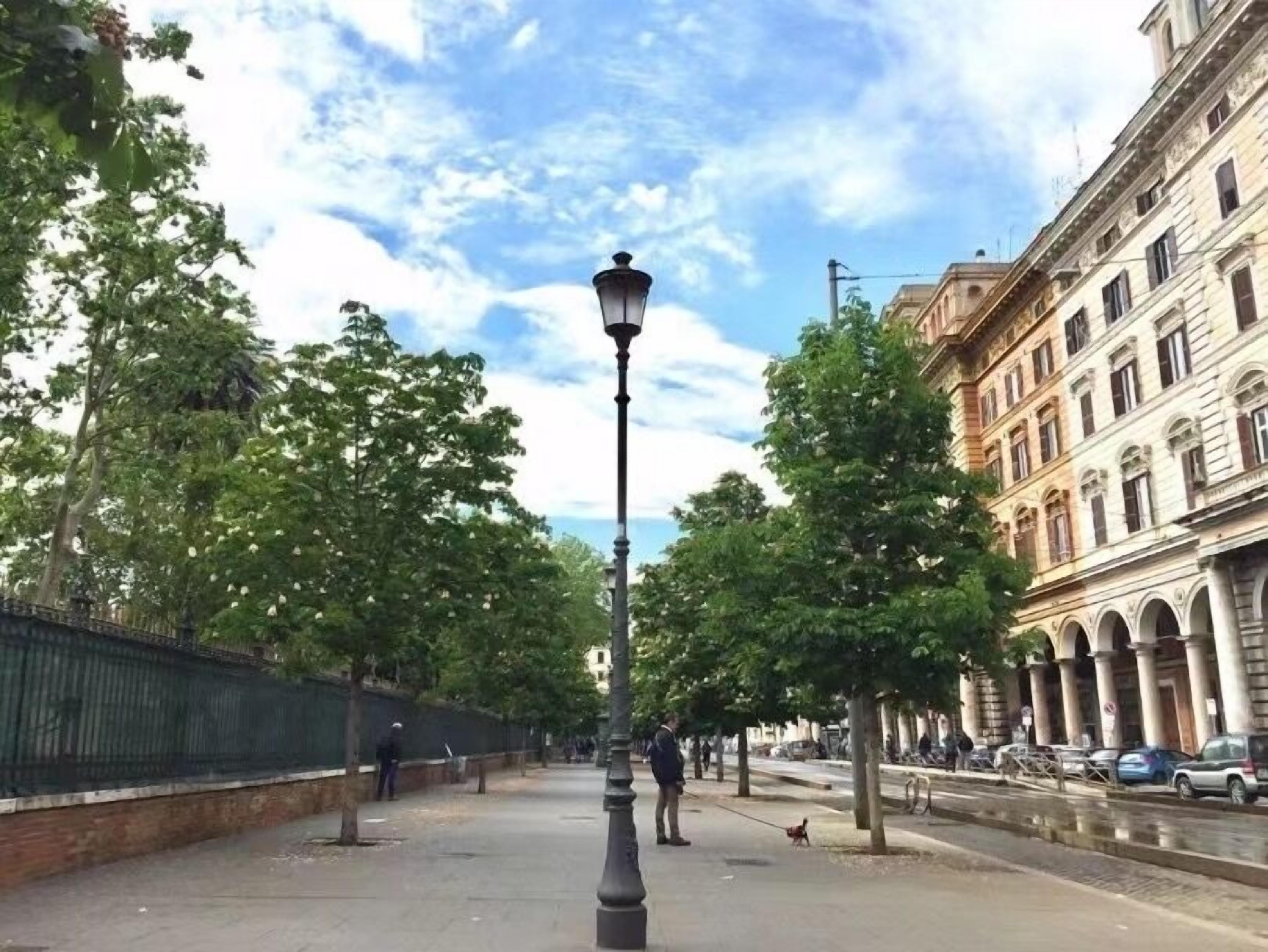 Une rue avec un lampadaire, des arbres et des immeubles.