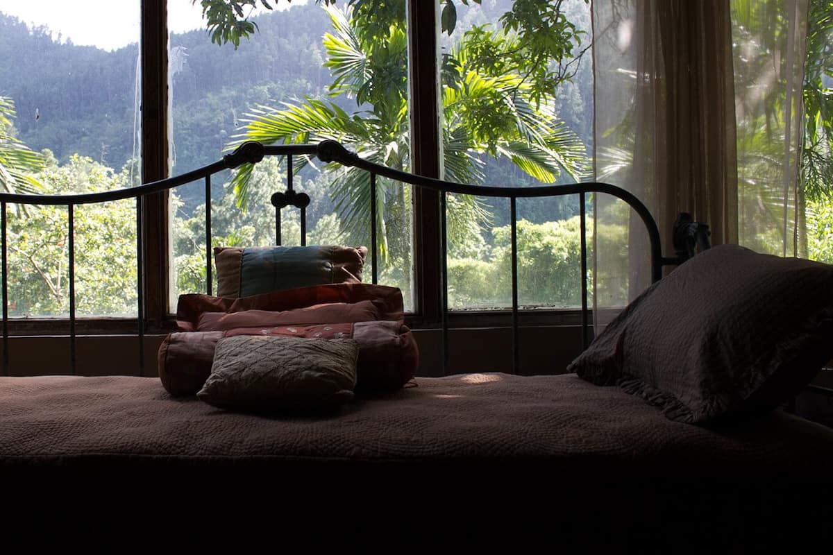 Ein Bett mit Metallgestell, mehreren Kissen und Blick auf einen Wald durch große Fenster.