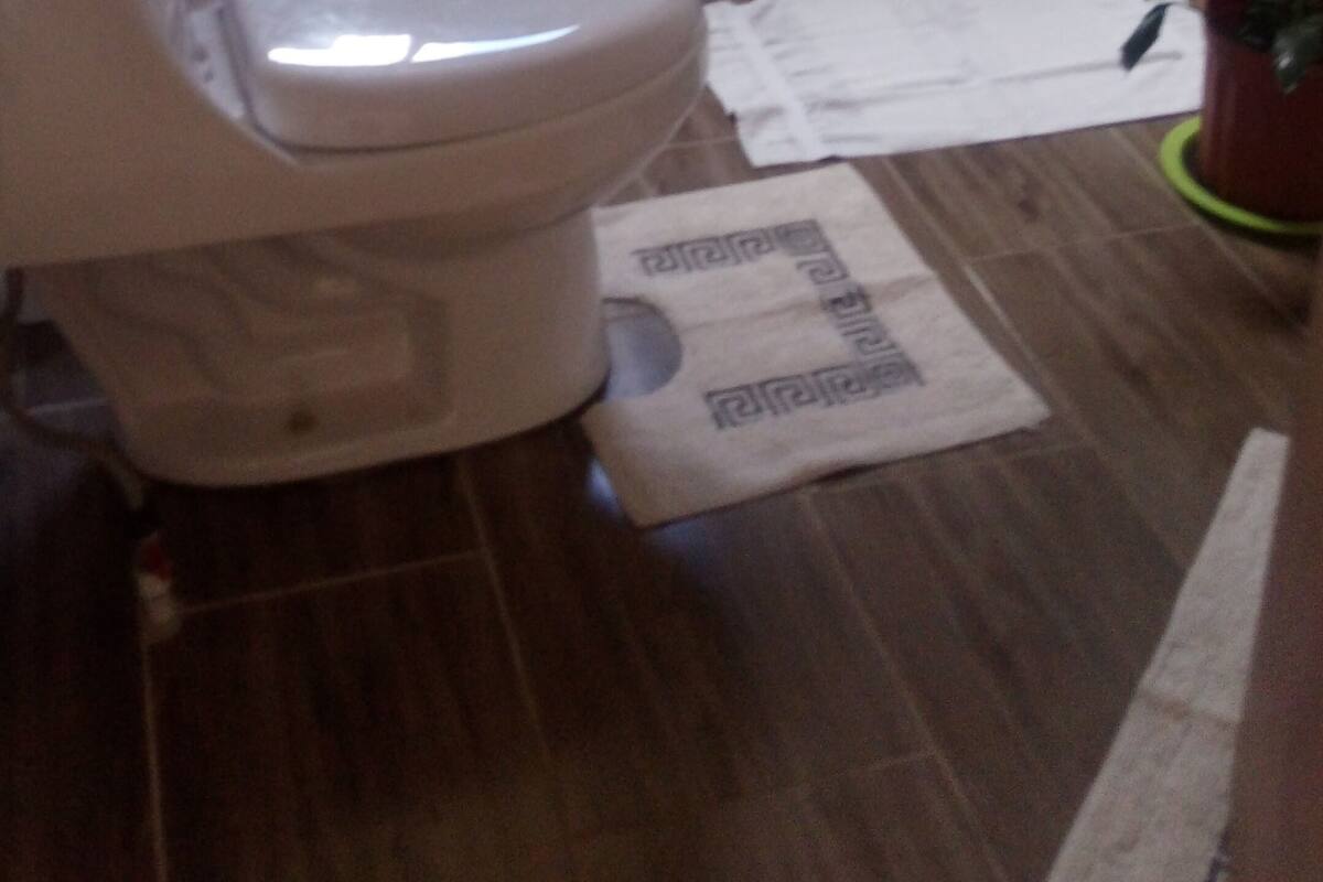 A bathroom with a toilet, a shower area, and a wooden floor.