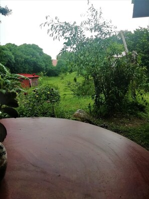 Family House, 3 Bedrooms, Non Smoking | Terrace/patio - Villa Morella (Monteverde)