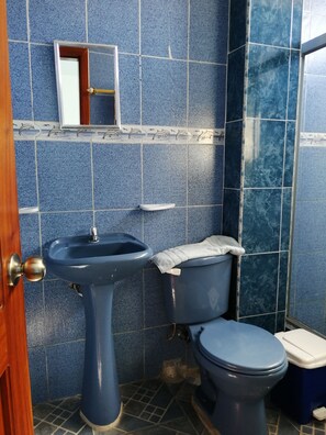 Eenvoudige driepersoonskamer | Badkamer | Een douche, handdoeken