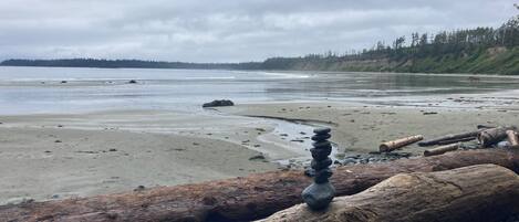 Una playa con una pila de piedras, troncos y guijarros.