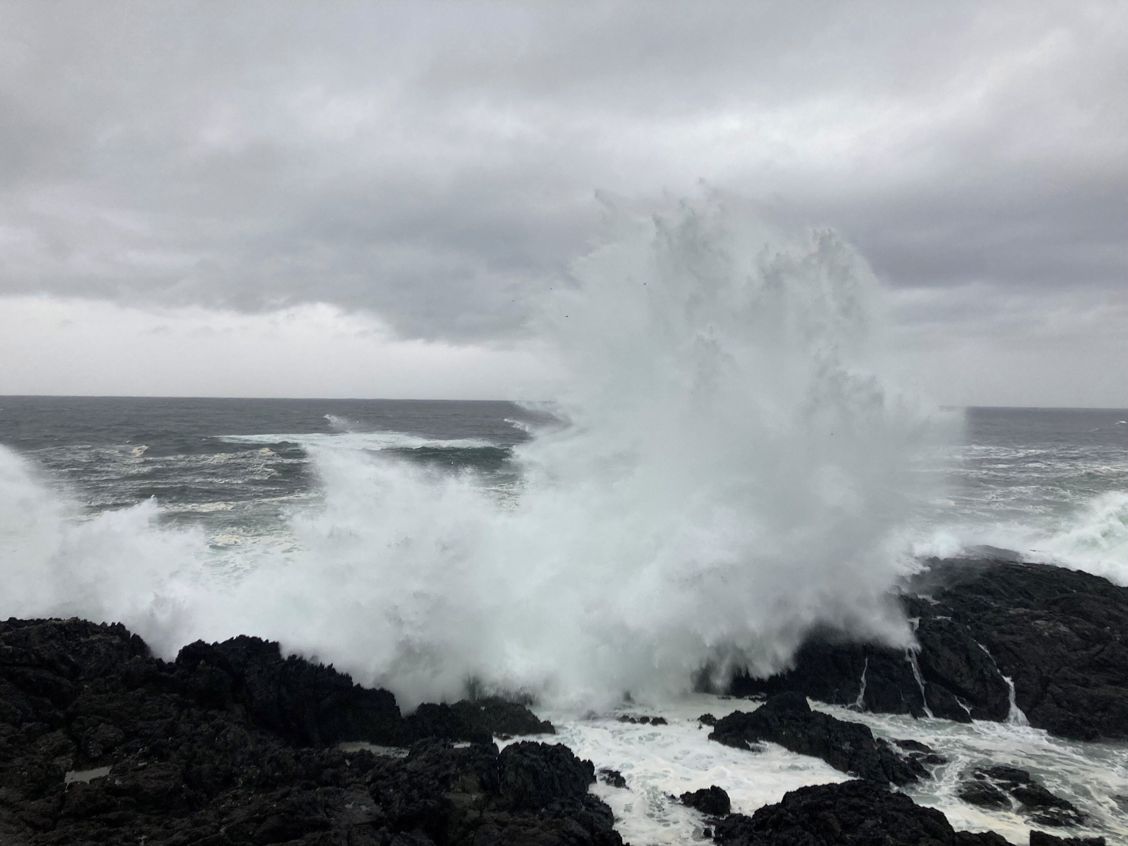 Wild waves on the Wild Pacific Trail 2 min drive away, 10min walk.