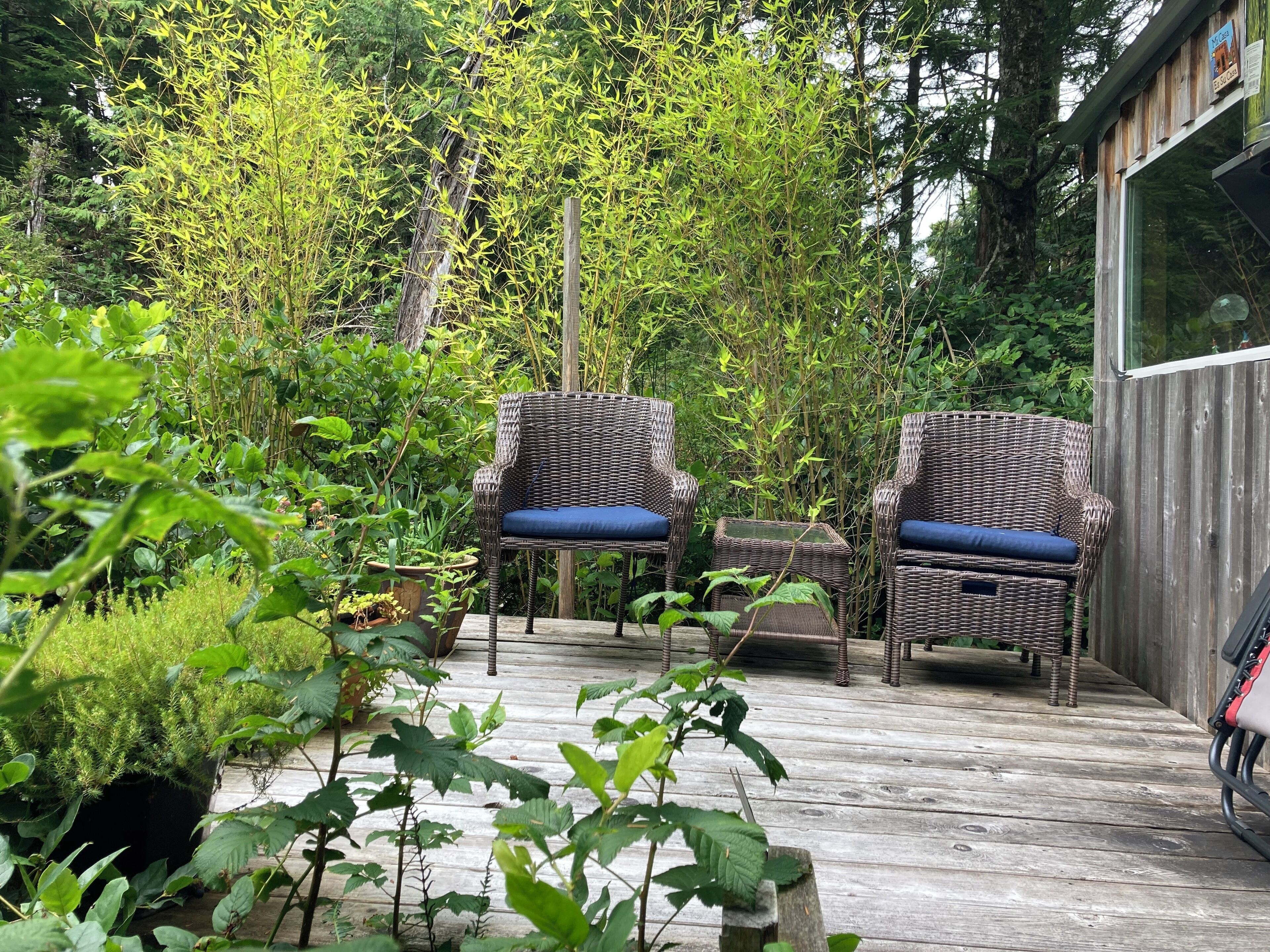 Une terrasse en bois, meublée de meubles en osier et dotée d’une véranda en verre.