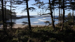 Un paysage côtier caractérisé par une forêt dense, une plage de sable et une vue dégagée sur l’océan.
