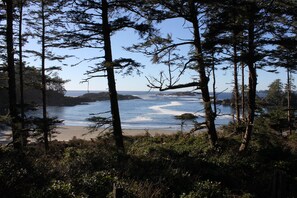 靠近海滩、沙滩毛巾