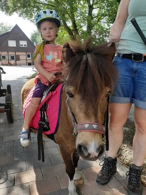 Niet-geclassificeerde afbeelding, 4 van 18, knop