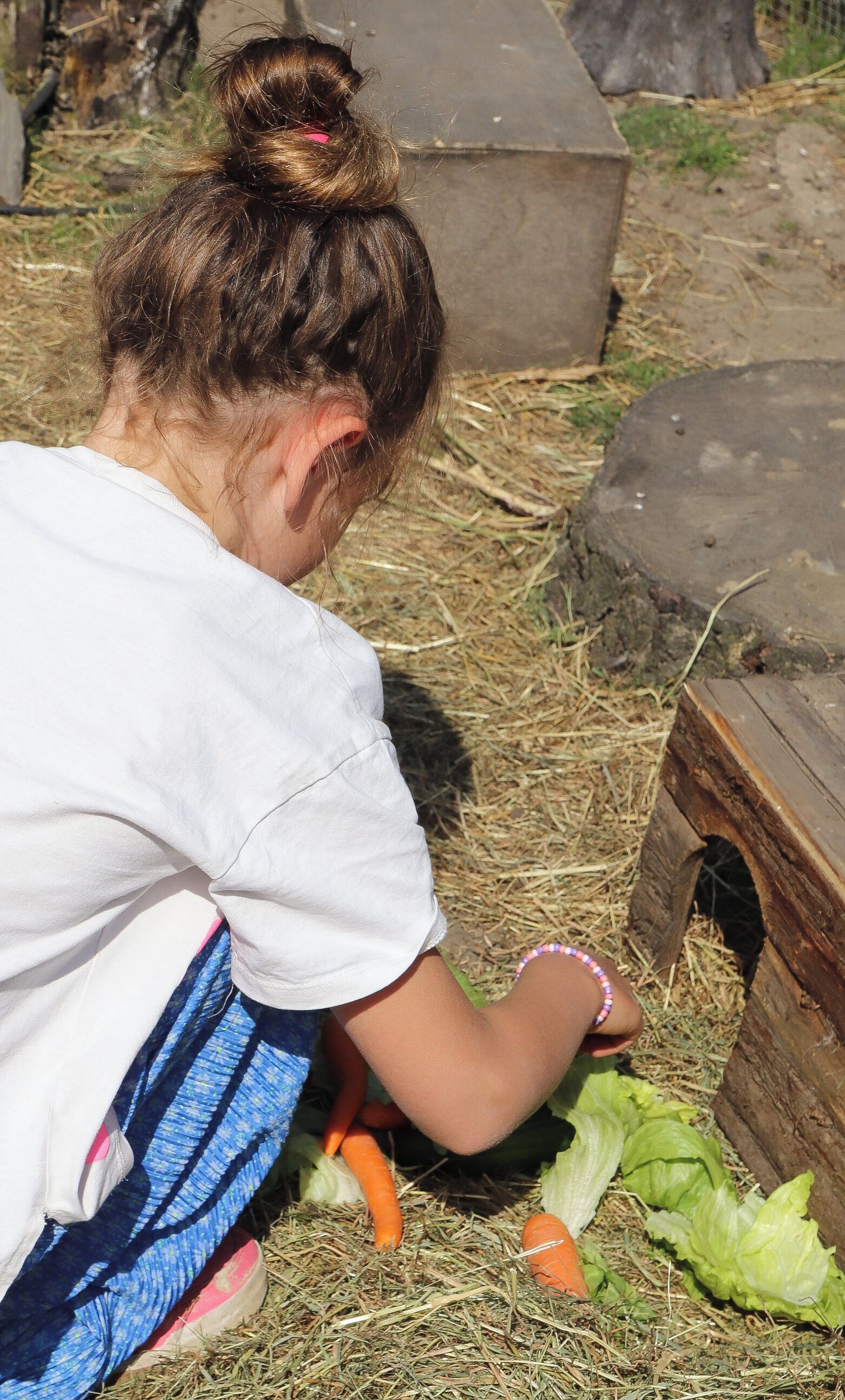 A person interacting with a small animal enclosure, possibly a rabbit, with hay and vegetables on the ground.