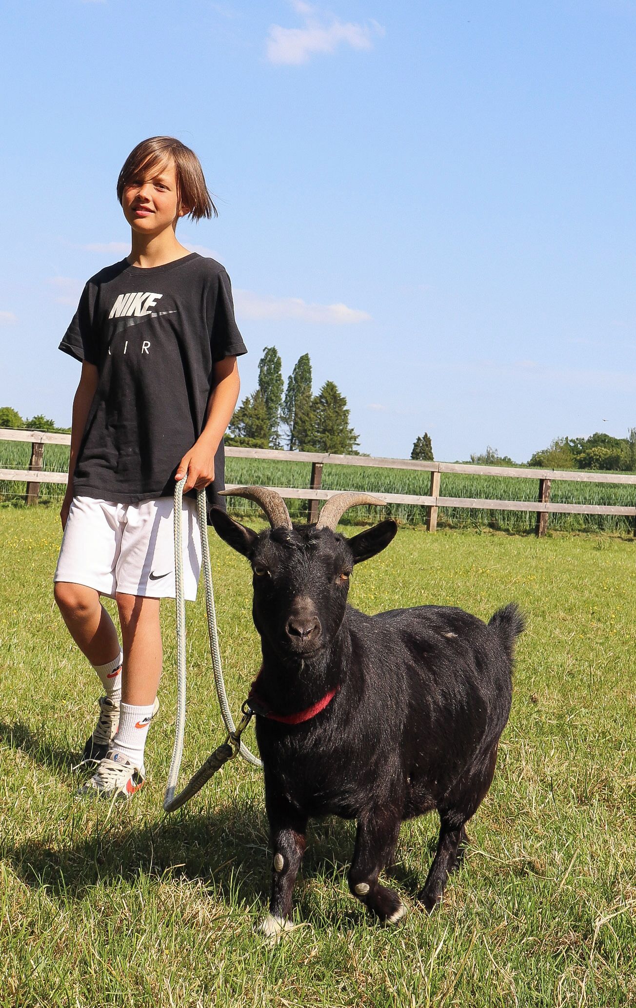 Eine Person steht auf einer Wiese mit einem schwarzen Ziegenbock.