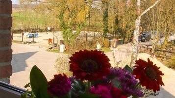 Utsikt från boendet