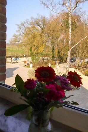 Uitzicht vanuit accommodatie