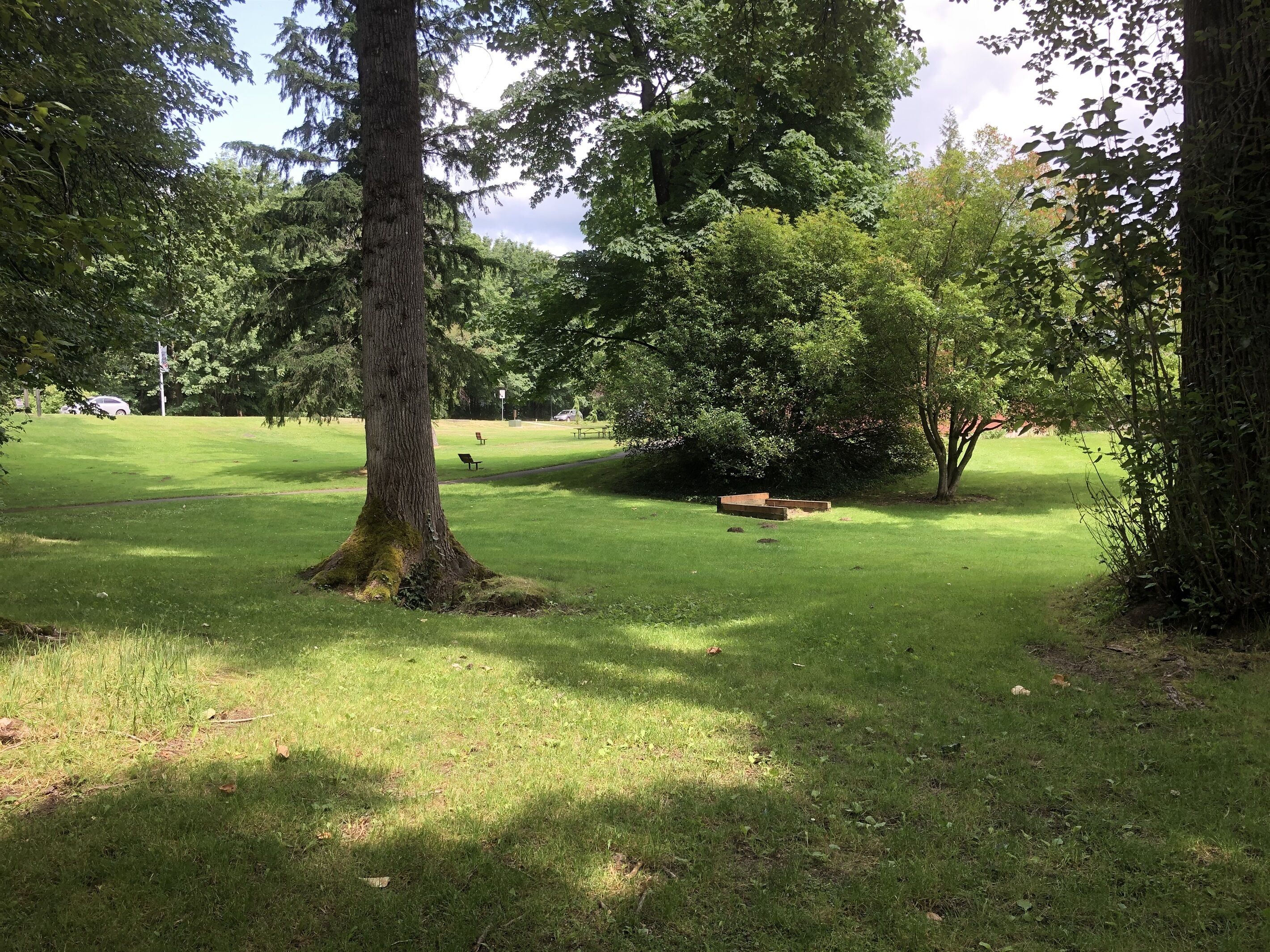 Um parque com área gramada, árvores e um banco.