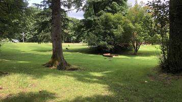 Um parque com área gramada, árvores e um banco.