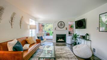 TV, fireplace, video games, DVD player