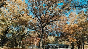 A pathway leading to a house surrounded by trees with autumn foliage. - CritzerShop - route 151- walk to the Brewey! (Afton)