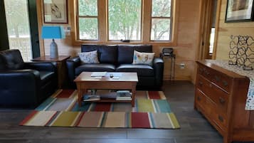 Smart TV, fireplace, ping pong, books