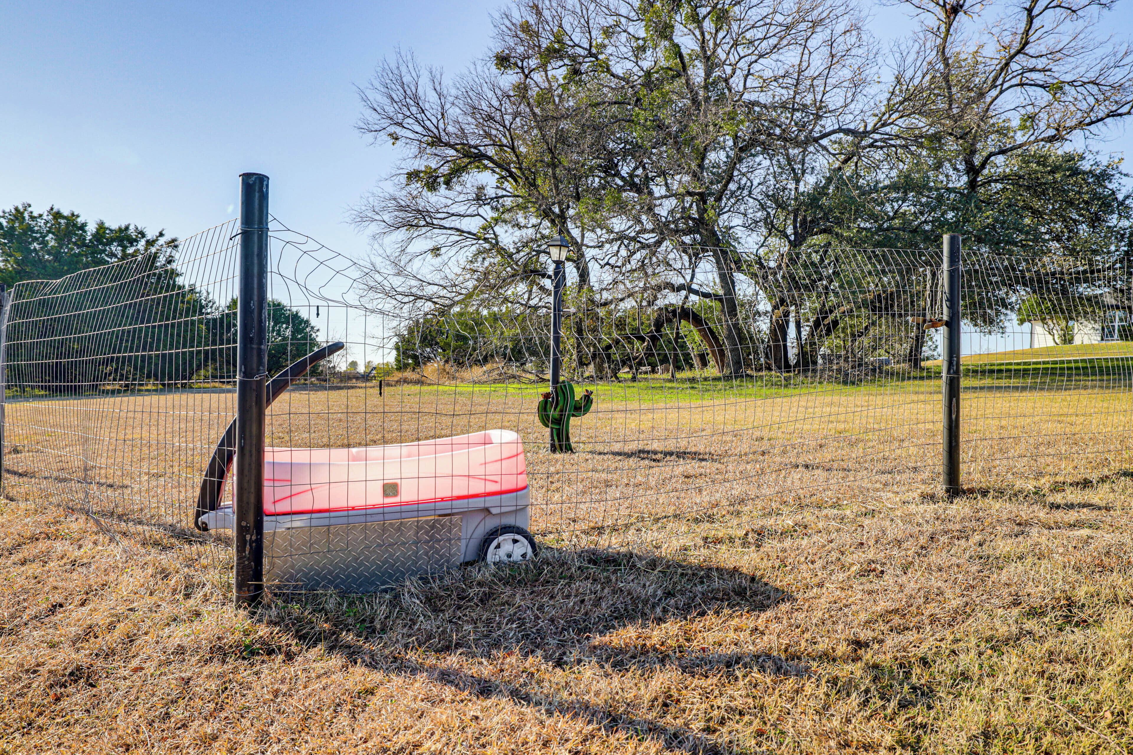 A fenced area with a metal gate, a red and white object, and a cactus.