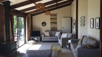 TV, fireplace, books