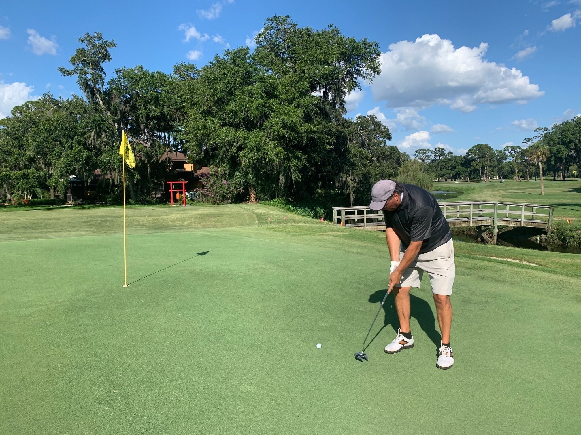 A golf course with a flagstick, a red structure, and a wooden bridge.