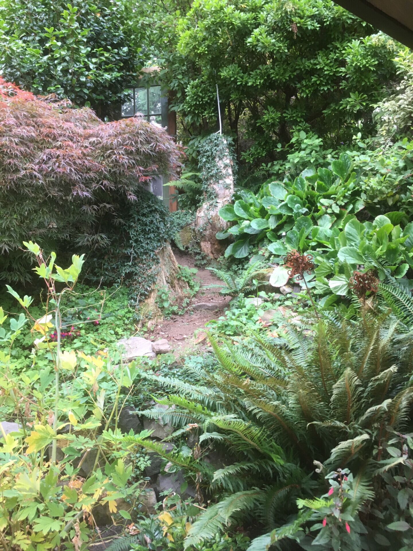 A lush garden with various plants and a stone pathway.