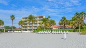 A beachfront hotel with multiple floors, palm trees, and rows of beach chairs. - End of summer sale  Take a peek awesome reviews 50 feet from  sand (Longboat Key)