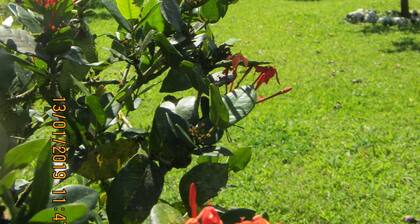 apartamento completo a 2 minutos ruta 32