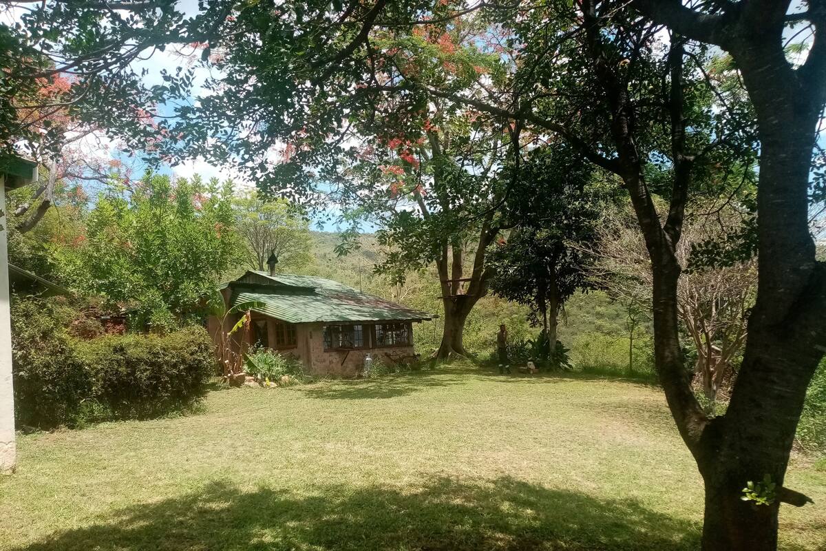Un chalet rustique avec un toit végétalisé, entouré d’une végétation luxuriante et d’arbres.