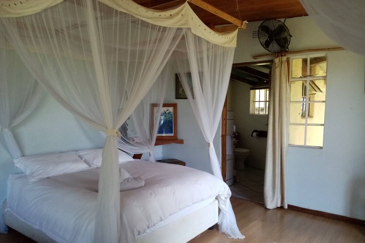 Chambre Standard | Literie de qualité, couette en duvet, bureau