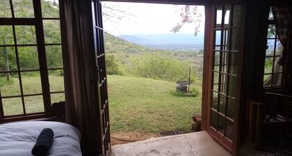 Bushwhacked Barberton