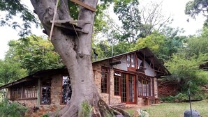 A rustic stone house with a large tree in front, wooden beams, and a metal roof. - Bushwhacked Barberton (Barberton)