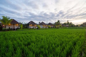 Front of property - Uma Sebatu Villas Ubud (Sebatu)